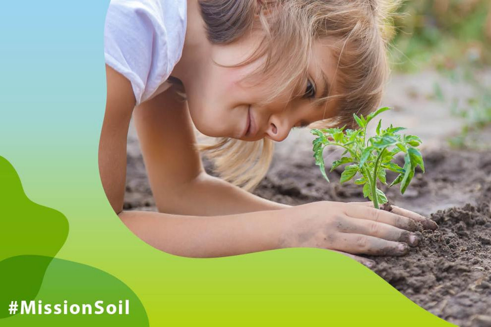 Child plants herb into soil