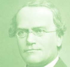 Portrait von Johann Gregor Mendel