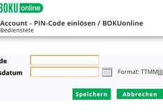 Abbildung Feld zur PIN-Code Eingabe
