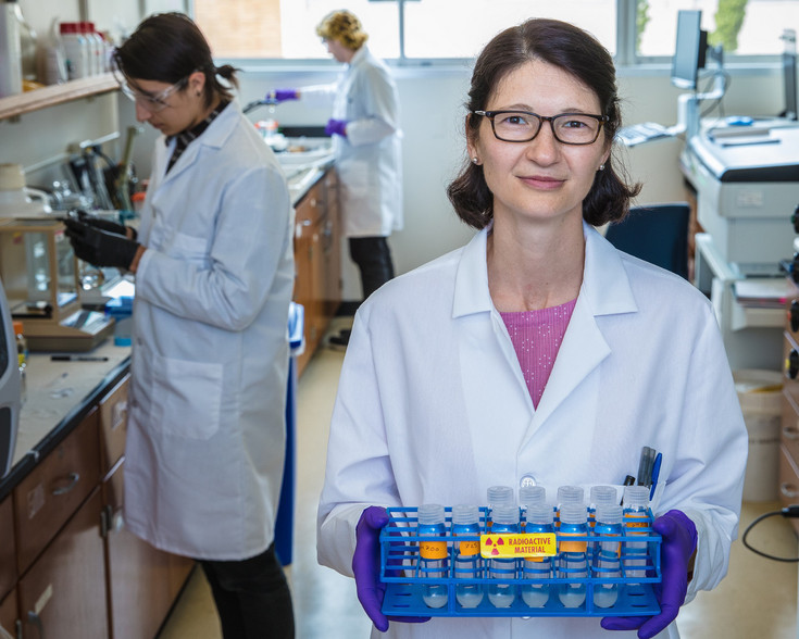 Neue Lehrveranstaltung neue-lehrveranstaltung