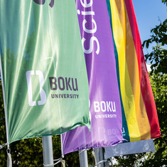 Regenbogen- und BOKU-Fahnen im Wind
