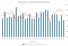 Niederschlags- und Temperaturdaten für das EZG Rosalia im Zeitraum 1990 - 2017