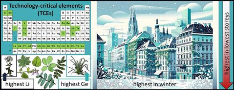 The image shows a chemical periodic table in which the technology-critical elements are color-coded. Underneath are drawings of the plant species examined. The section of the picture on the right shows a building with a green façade in winter.
