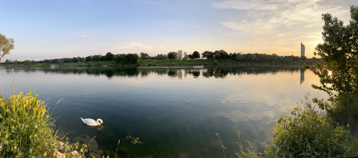 The Danube Island Blick über die Neue Donau zur grünen Donauinsel