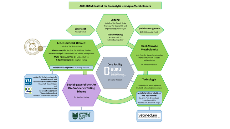 AGRI-IBAM Organigramm