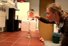 Studierende im Labor