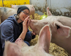 Sara Hintze inmitten von Schweinen