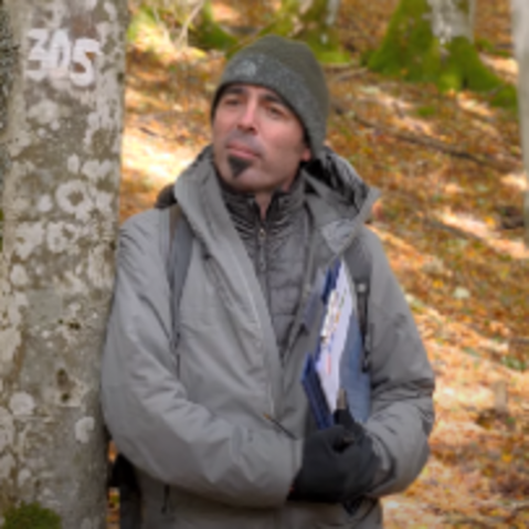 [Translate to English:] Prof. Emanuele Lingua