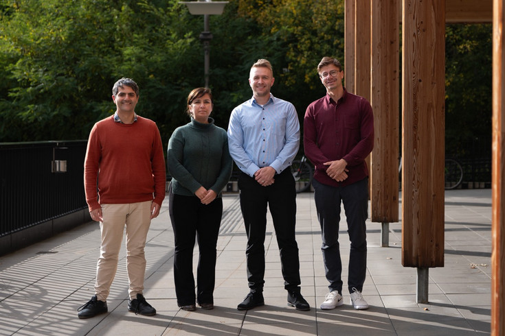 Team of structural mechanics assistants