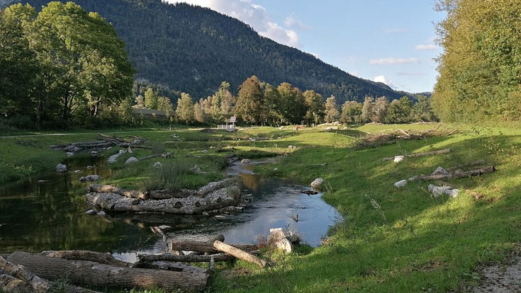 Renaturierung eines Baches 