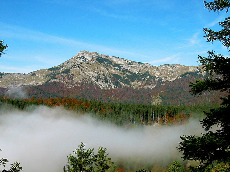 A view over a forested valley with slightly snow-covered mountains in the background