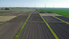 Tillage Experiment