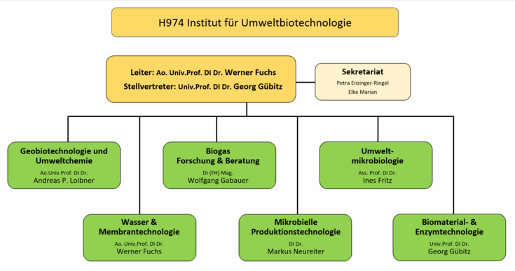 Organigramm des Instituts für Umweltbiotechnologie
