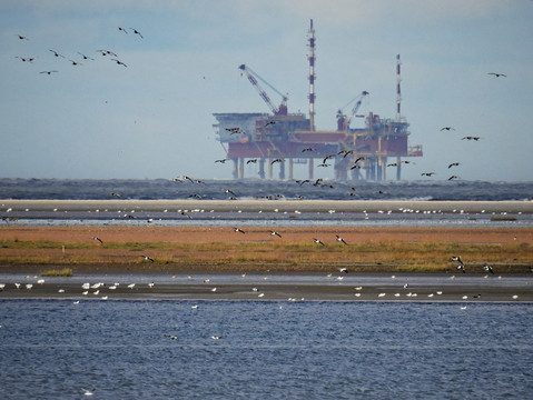 Bohrinsel