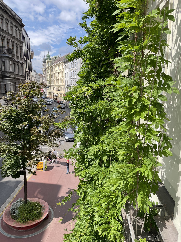 Aufnahme von seitlich oben. Rechts die Fassadenbegrünung. Links: Blick in die Straße mit einem rot asphaltierten Fußgängerbereich vor dem Haus, dahinter fahrende Autos.