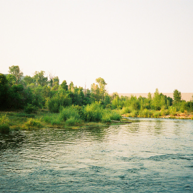 (c) Unsplash