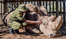 James Mwenda mit "Sudan", dem letzten männlichen nördlichen Breitmaulnashorn 