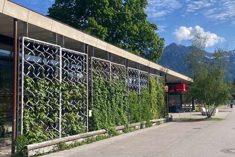 Bewachsene Metall-Rankhilfe unter der Traufe des Flachdaches vor der Glasfront. Im Vordergrund Parkplätze. Im Hintergrund Bäume, Berge und blauer Himmel mit kleinen Wolken.