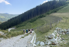 The students walk down a gravel path; to the right lies a large slope with areas of reforestation.
