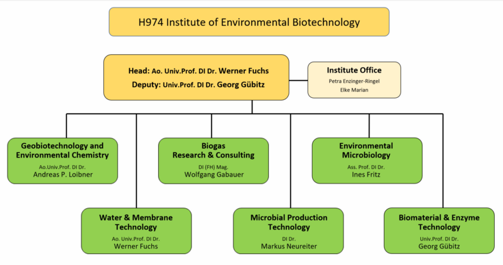 Organisation chart of the Institute of Environmental Biotechnology