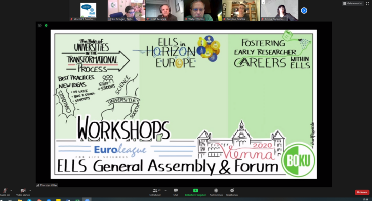 ELLS GAF 2020 Workshop Reports Graphic Recording in progress