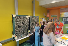 Kinder in einer Schule bei der Erhebung in Oberösterreich