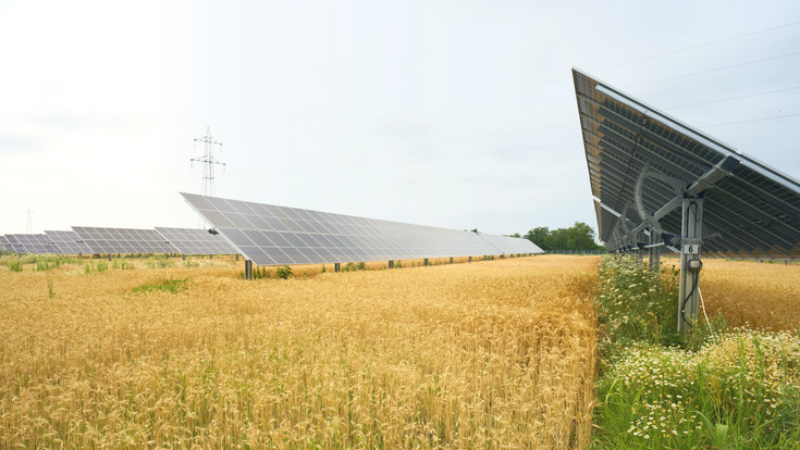 AGRI-PV Anlage auf Feld