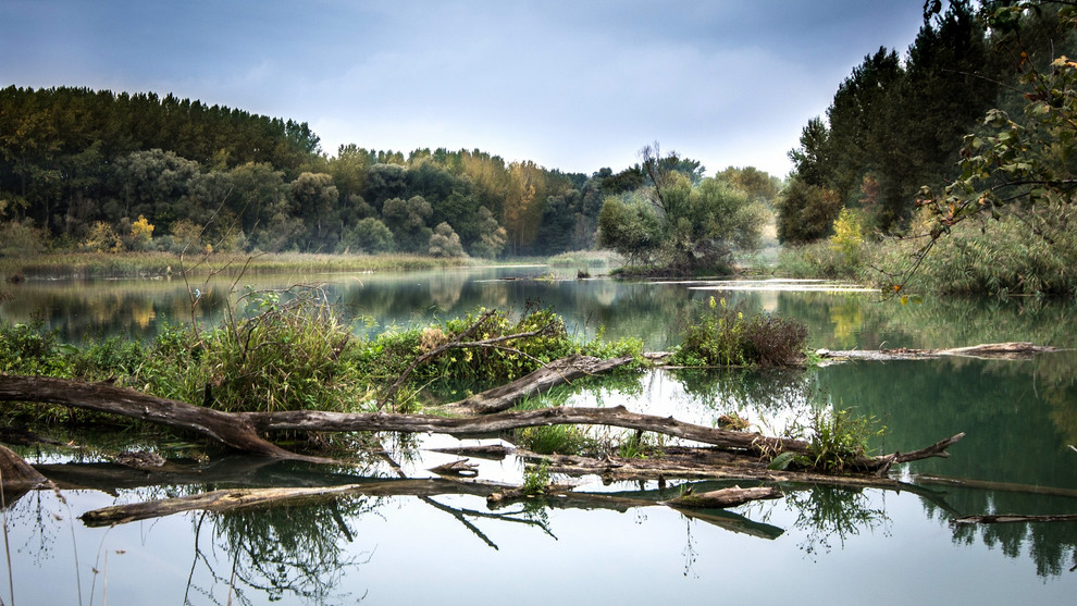 Foto: Danube River