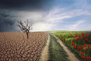 © Image by enriquelopezgarre from Pixabay (C00) Picture: dry land on one side, green land on the other side