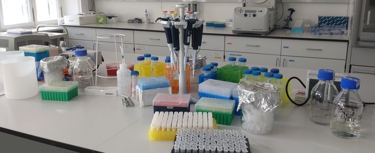 Ausstattung eines Labors mit Pipetten und Puffern