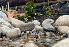 Detail: Kleiner Springbrunnen