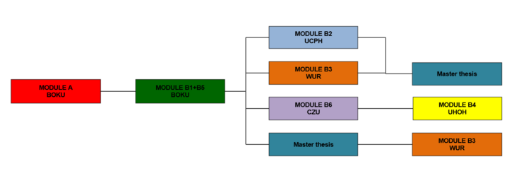Graph SIFC programme structure