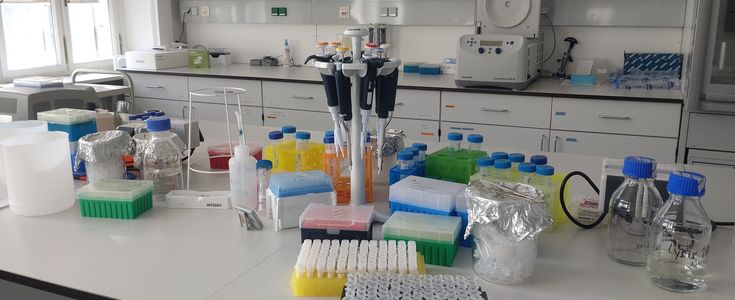 Ausstattung eines molekularbiologischen Labors mit Pipetten und Enzymen