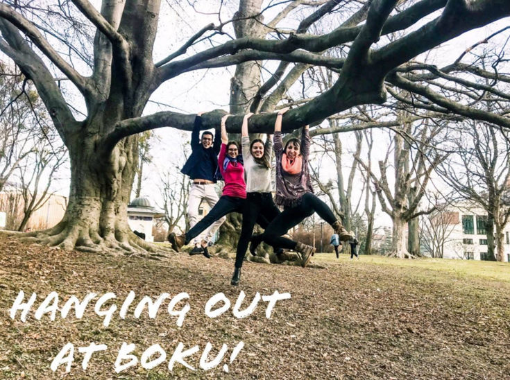 Symbolfoto students hanging on a tree