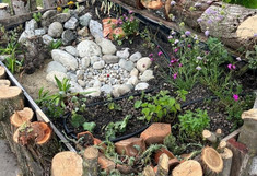 Mit senkrechten ca 60 cm honen Baumstämmen eingefasstes  Beet. Mit Wasserfläche, Steinen und Pflanzen