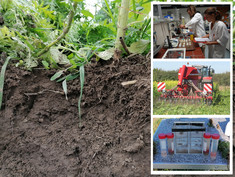 Forschung und Praxis für gesunde Bodenökosysteme