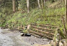 Foto: Holzkrainerwand am Fluß