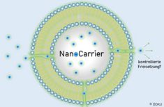 Symbolbild für Nanocarrier