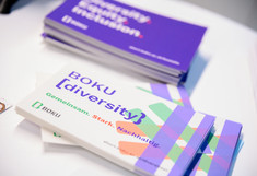Die Postkarten der Koordinationsstelle für Gleichstellung Diversität und Behinderung mit dem Schriftzug: BOKU Diversity. Gemeinsam. Stark. Nachhaltig