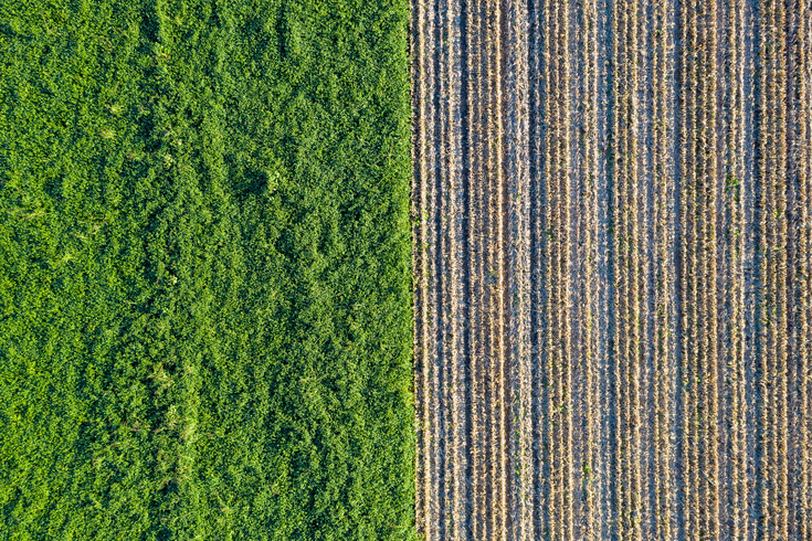 A piece of land, half green (covered with grass), half with broken ground