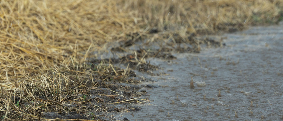 (c) Stefan Schauhuber