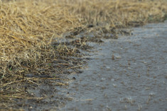 (c) Stefan Schauhuber