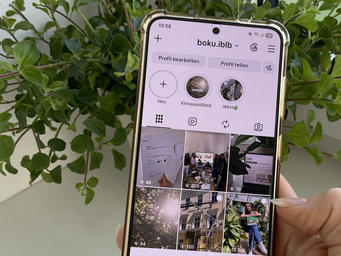 Foto eines Smartphones mit der IBLB-Startseite auf Instagram. Eine Zimmerpflanze als Hintergrund