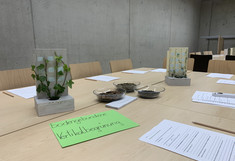Großer Tisch zum Thema bodengebundene Vertikalbegrünung. 2 Modelle und 3 Glasbehälter mit Bodensubstrat. Einige Sesseln und Fragebögen für die Kinder am Tischrand.