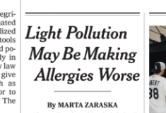 Artikel in der New York Times