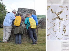 Links: Exkursionsgruppe untersucht wassergefüllten Steinkrug; rechts: Nitella laotica, Typusbeleg im Herbarium WHB