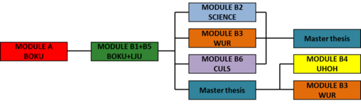 Graph Module structure