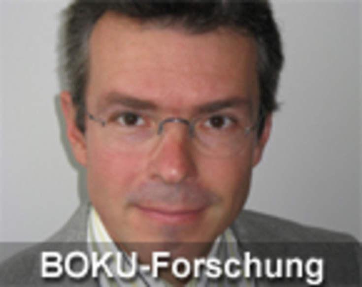A national low flow estimation procedure for Austria