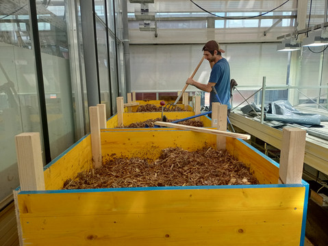 Kompostmiete im Glashaus 