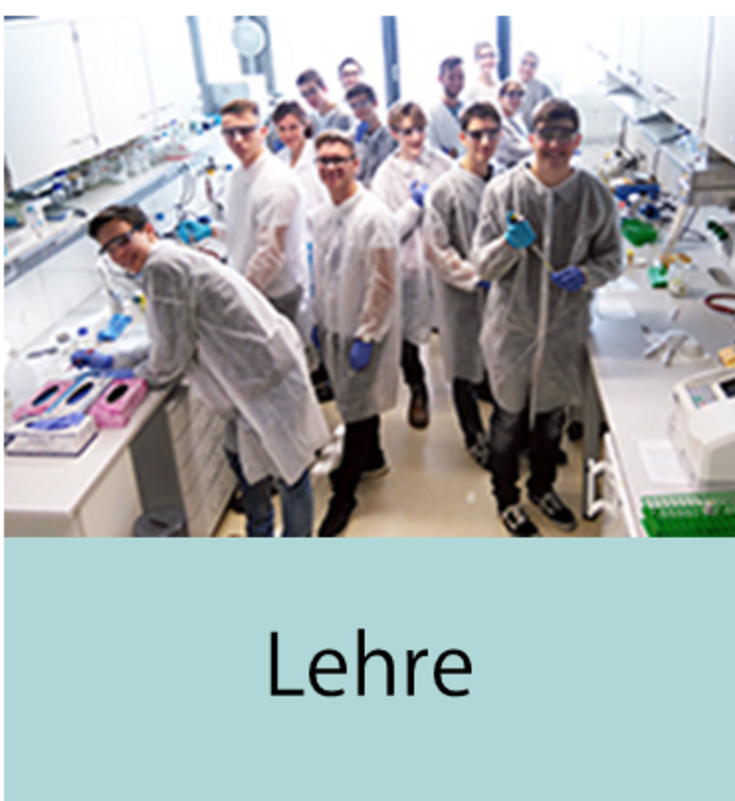 Lehre